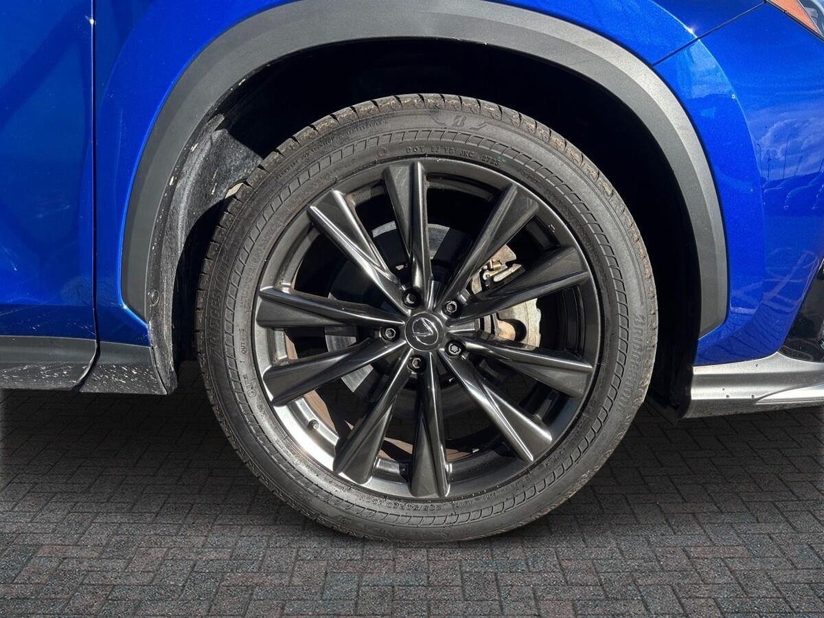 Used Lexus NX 2023 for sale - 77697804: Photo 6