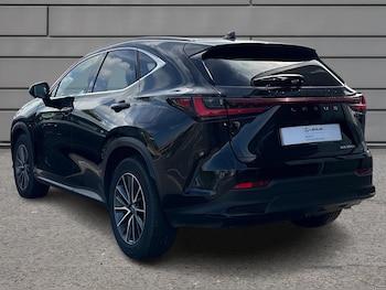 Used Lexus NX 2024 for sale - 75901469: Photo