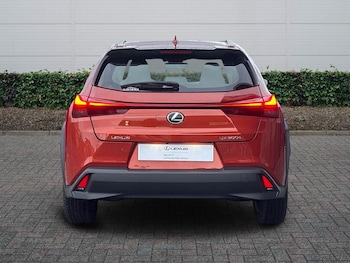 Used Lexus UX 2024 for sale - 76800693: Photo