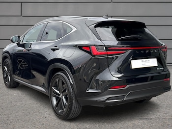 Used Lexus NX 2025 for sale - 76647363: Photo