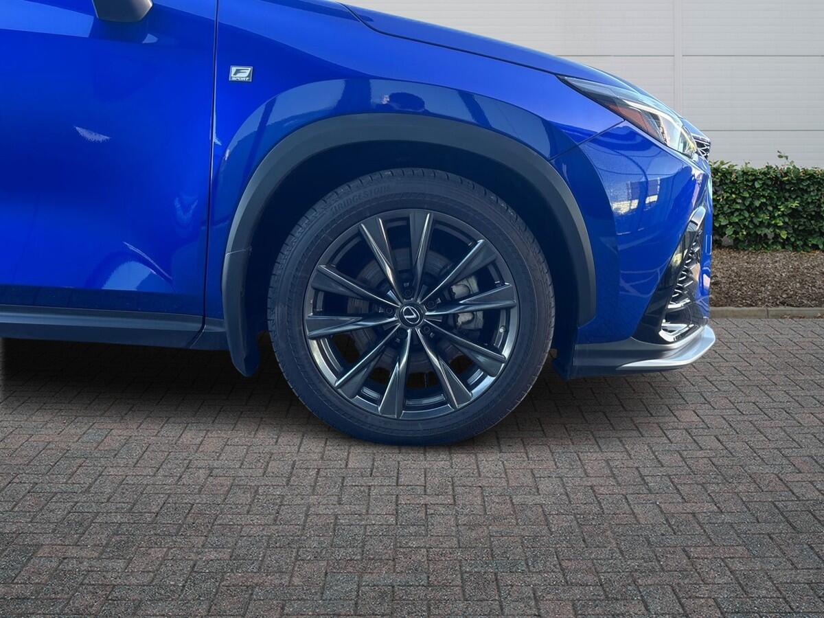 Used Lexus NX 2022 for sale - 77177390: Photo 6