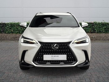 Used Lexus NX 2025 for sale - 77770746: Photo