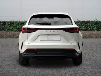 Used Lexus NX 2025 for sale - 77770746: Photo
