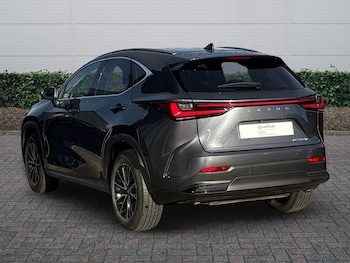Used Lexus NX 2023 for sale - 77177023: Photo