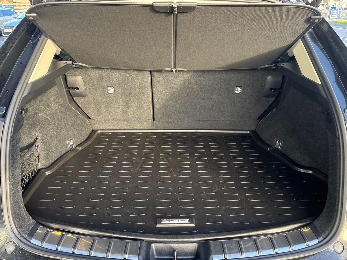 Used Lexus NX 2023 for sale - 77176581: Photo 10