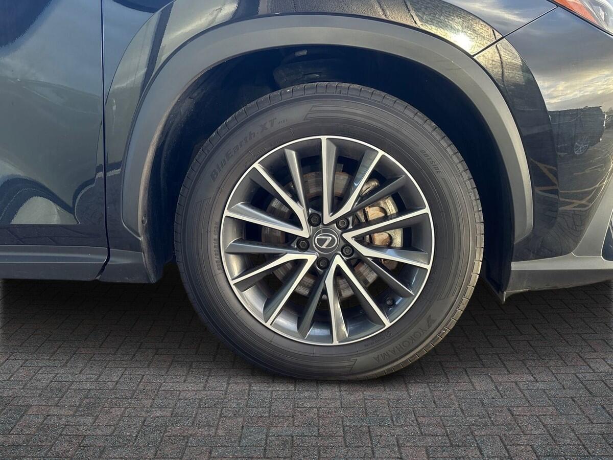 Used Lexus NX 2023 for sale - 77176581: Photo 6