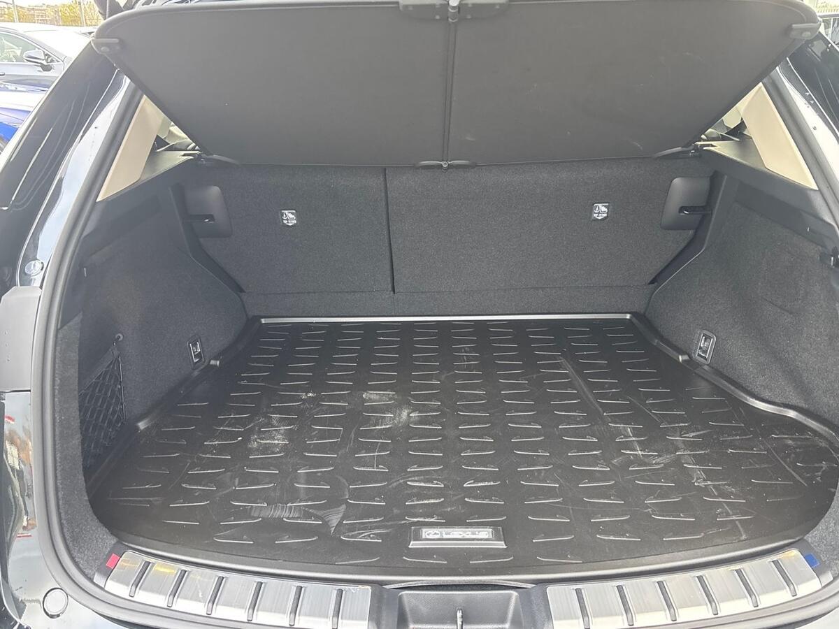 Used Lexus NX 2025 for sale - 77124347: Photo 10