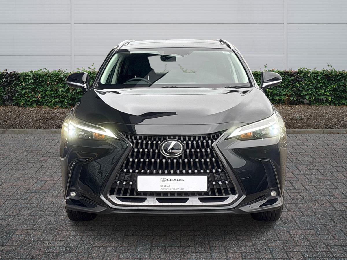 Used Lexus NX 2025 for sale - 77124347: Photo 3