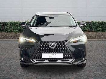 Used Lexus NX 2025 for sale - 77124347: Photo