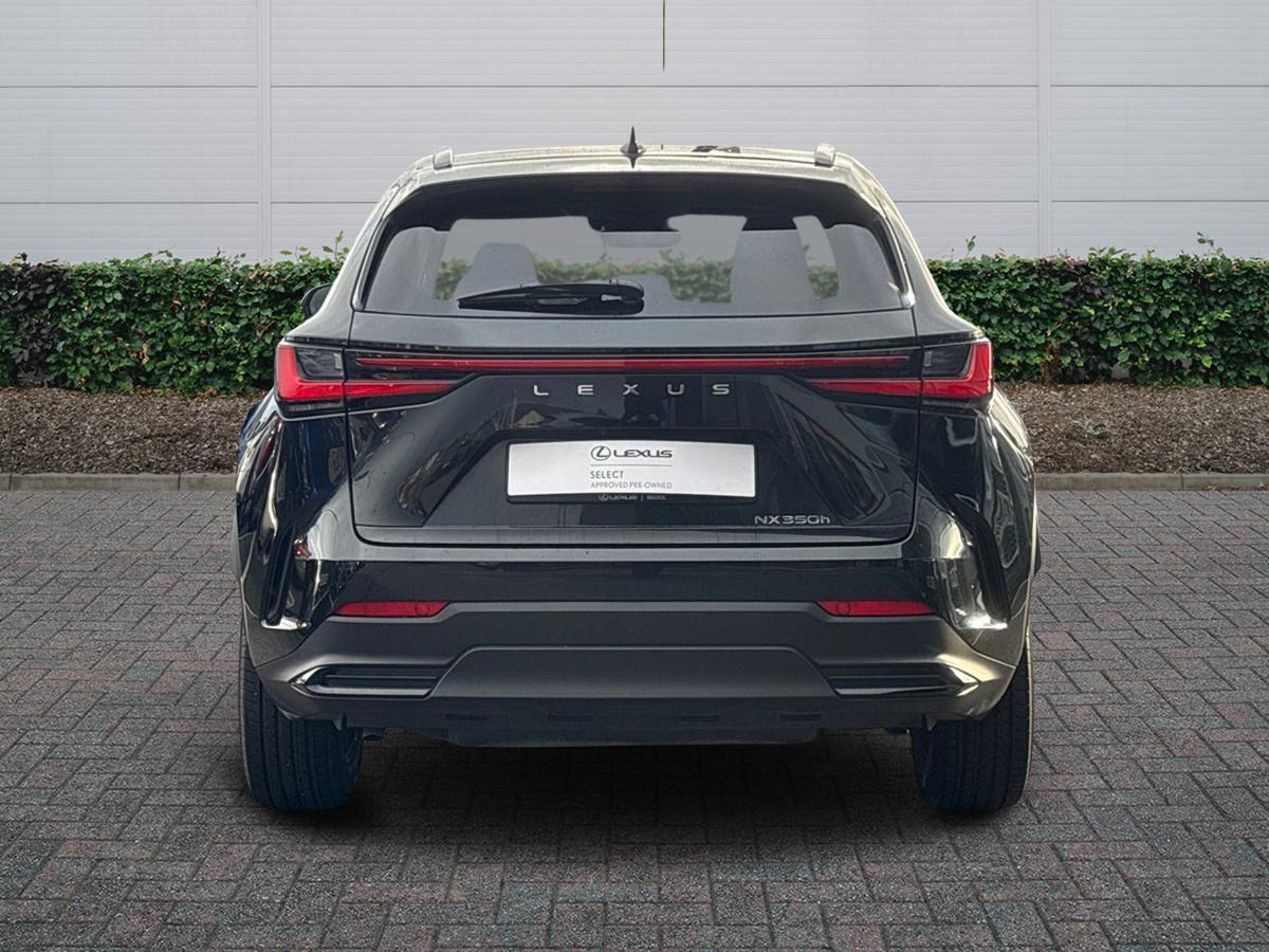Used Lexus NX 2025 for sale - 77124347: Photo 4