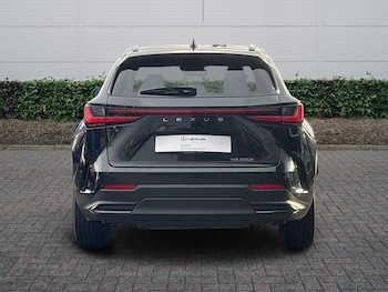 Used Lexus NX 2025 for sale - 77124347: Photo