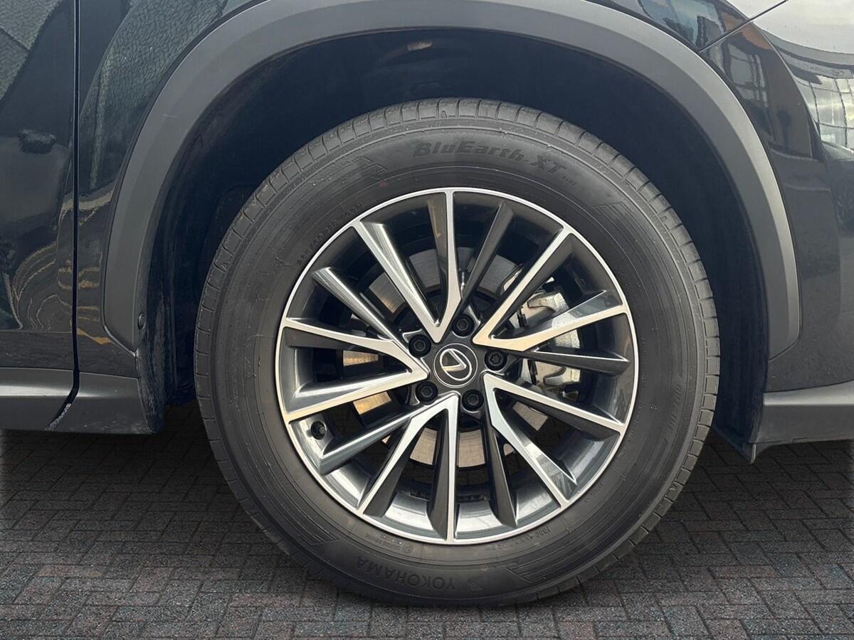 Used Lexus NX 2025 for sale - 77124347: Photo 6