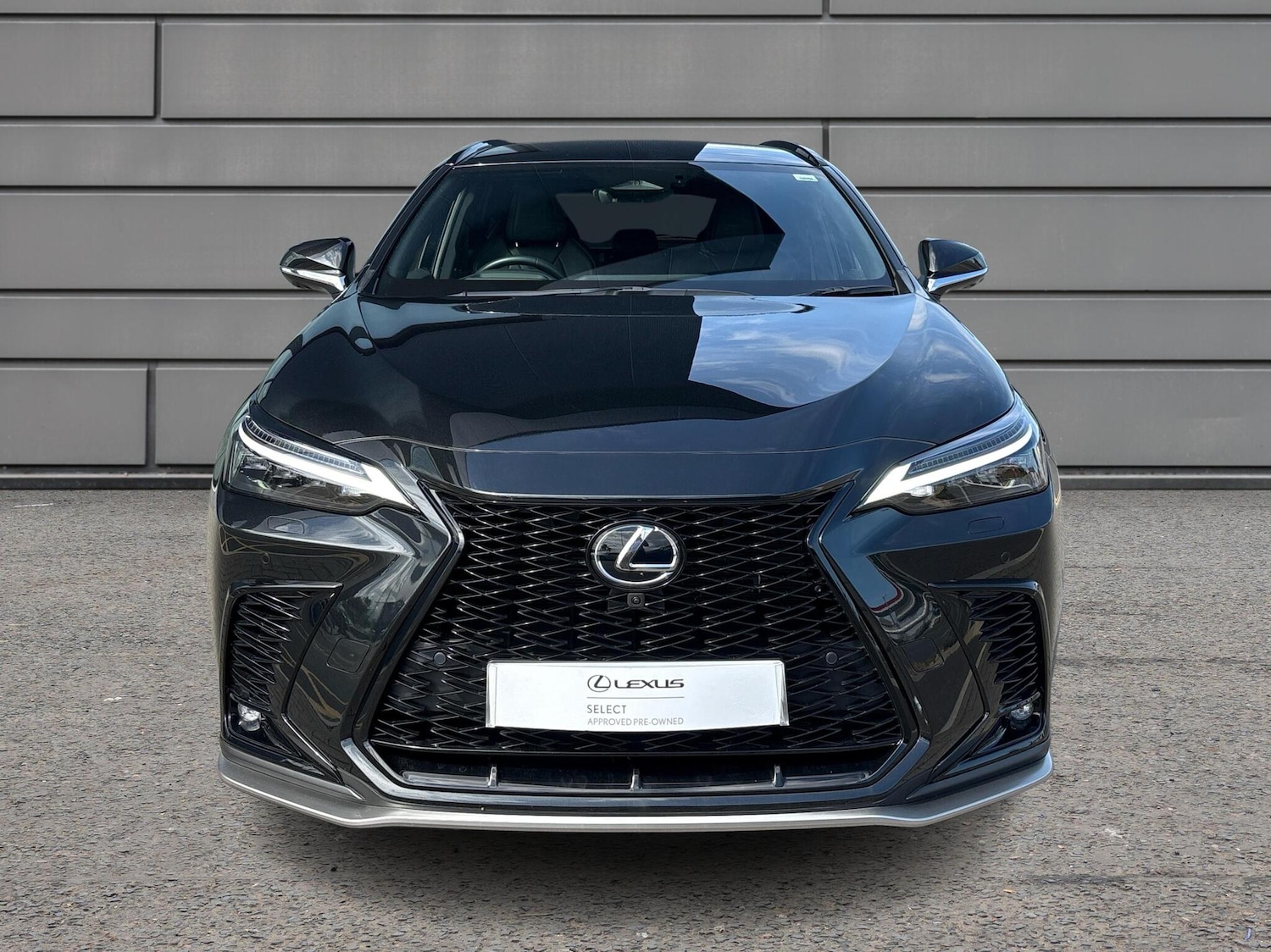 Used Lexus NX 2023 for sale - 77176546: Photo 7