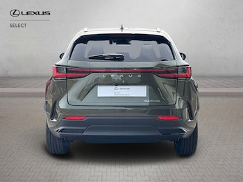 Used Lexus NX 2026 for sale - 78088171: Photo