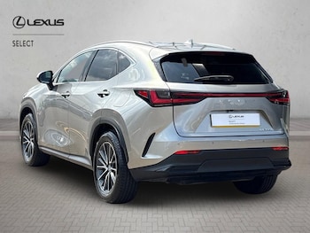 Used Lexus NX 2024 for sale - 79338666: Photo