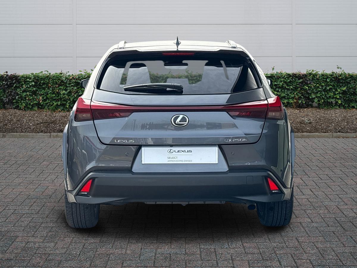 Used Lexus UX 2023 for sale - 77994867: Photo 4