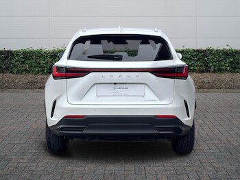 Used Lexus NX 2024 for sale - 77770755: Photo