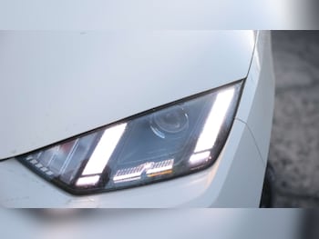 Used BYD Dolphin 2025 for sale - 77614507: Photo