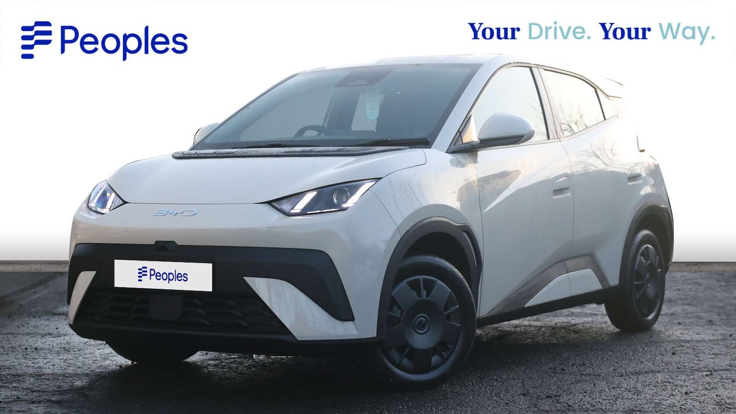 Used BYD Dolphin 2025 for sale - 77614507: Photo 35