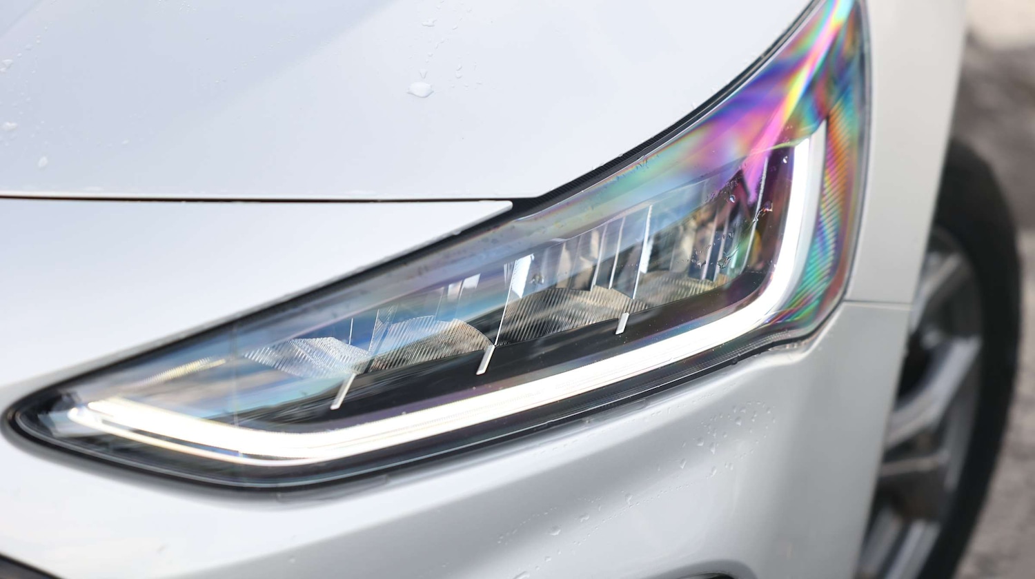 Used Ford Focus 2023 for sale - 76873401: Photo 7