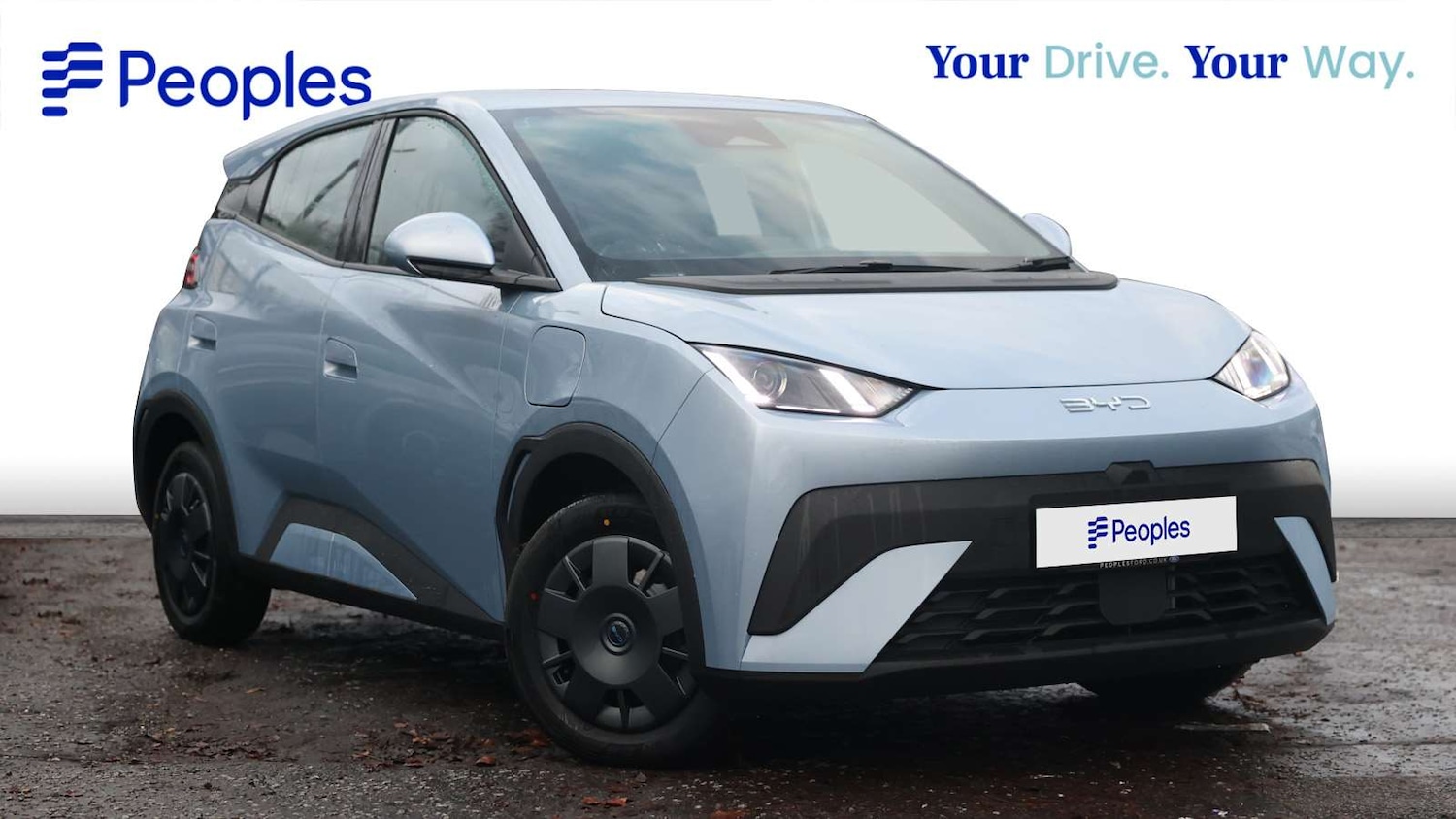 Used BYD Dolphin 2025 for sale - 77018324: Photo 2