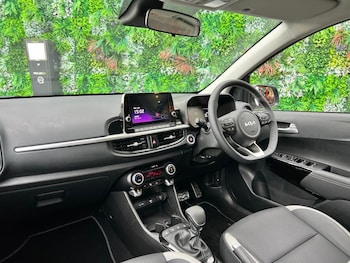 Used Kia Picanto 2025 for sale - 77431246: Photo