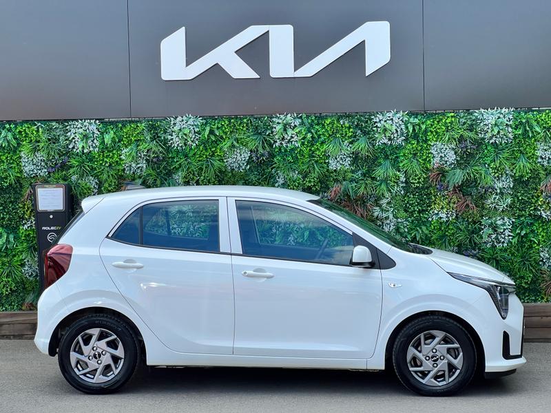Used Kia Picanto 2024 for sale - 76400192: Photo 8