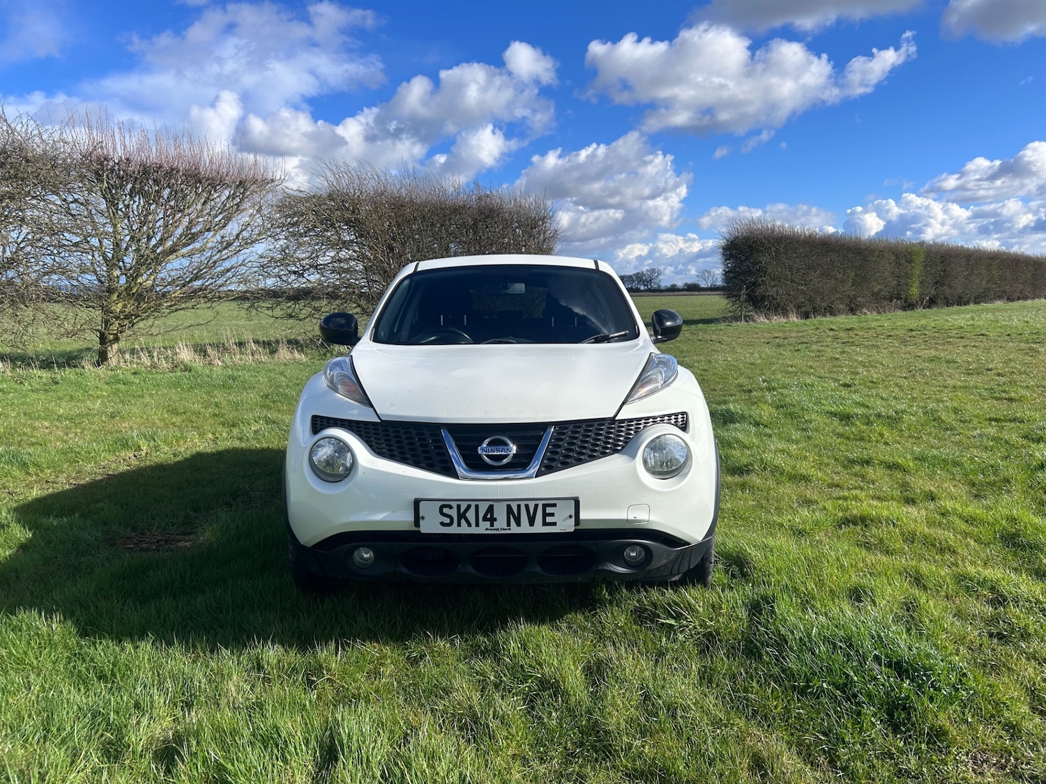 Used Nissan Juke 2014 for sale - 77400169: Photo 2