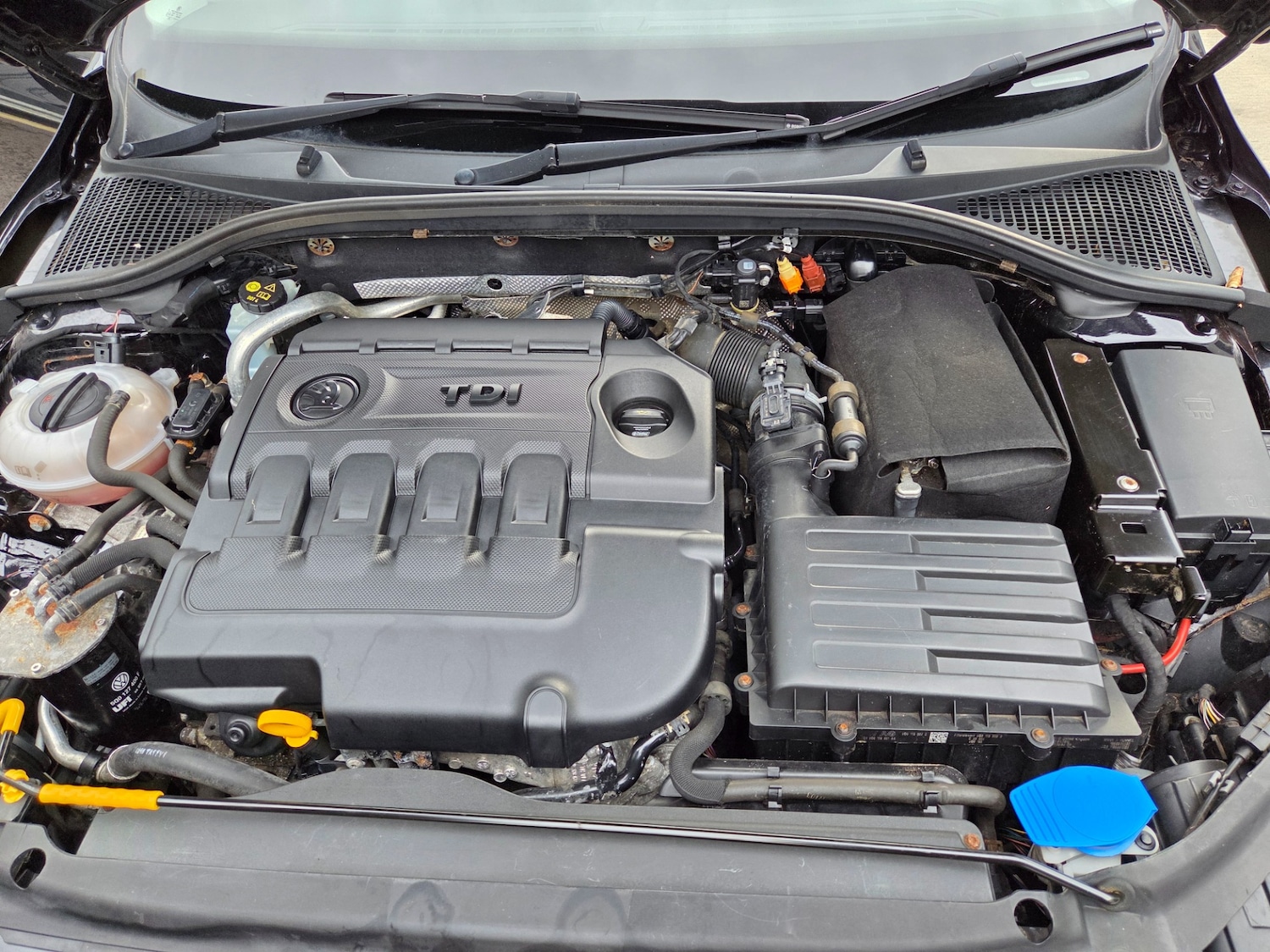 Used Skoda Octavia 2015 for sale - 77661914: Photo 29