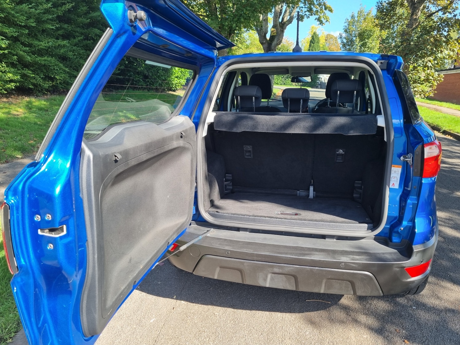 Used Ford Ecosport 2018 for sale - 75997507: Photo 12