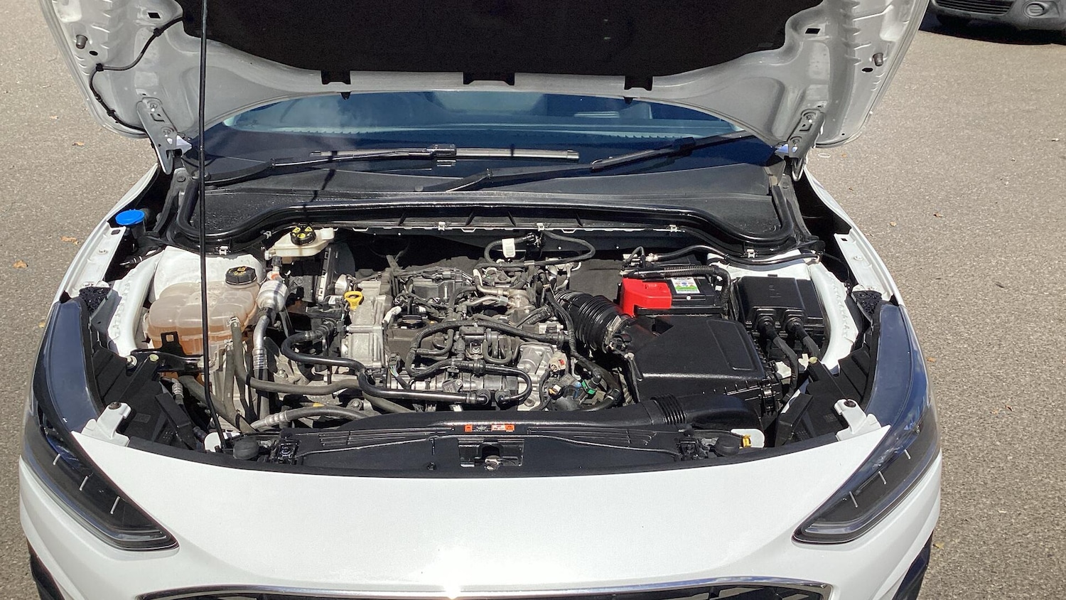 Used Ford Focus 2023 for sale - 76832469: Photo 15