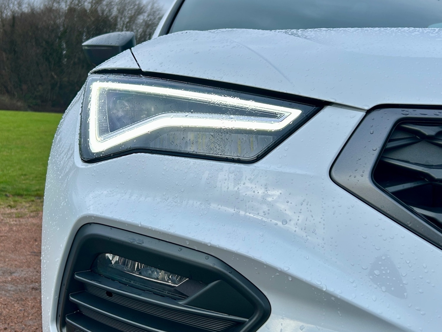 Used SEAT Ateca 2025 for sale - 77186349: Photo 5