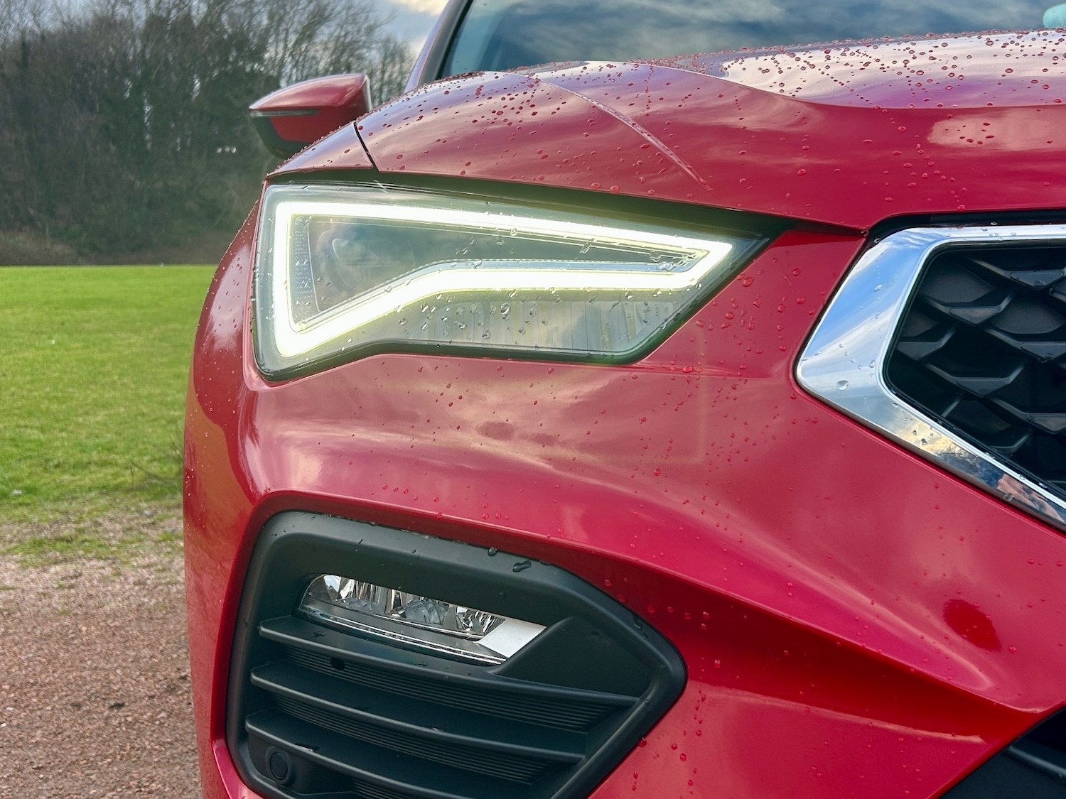 Used SEAT Ateca 2022 for sale - 77366941: Photo 5