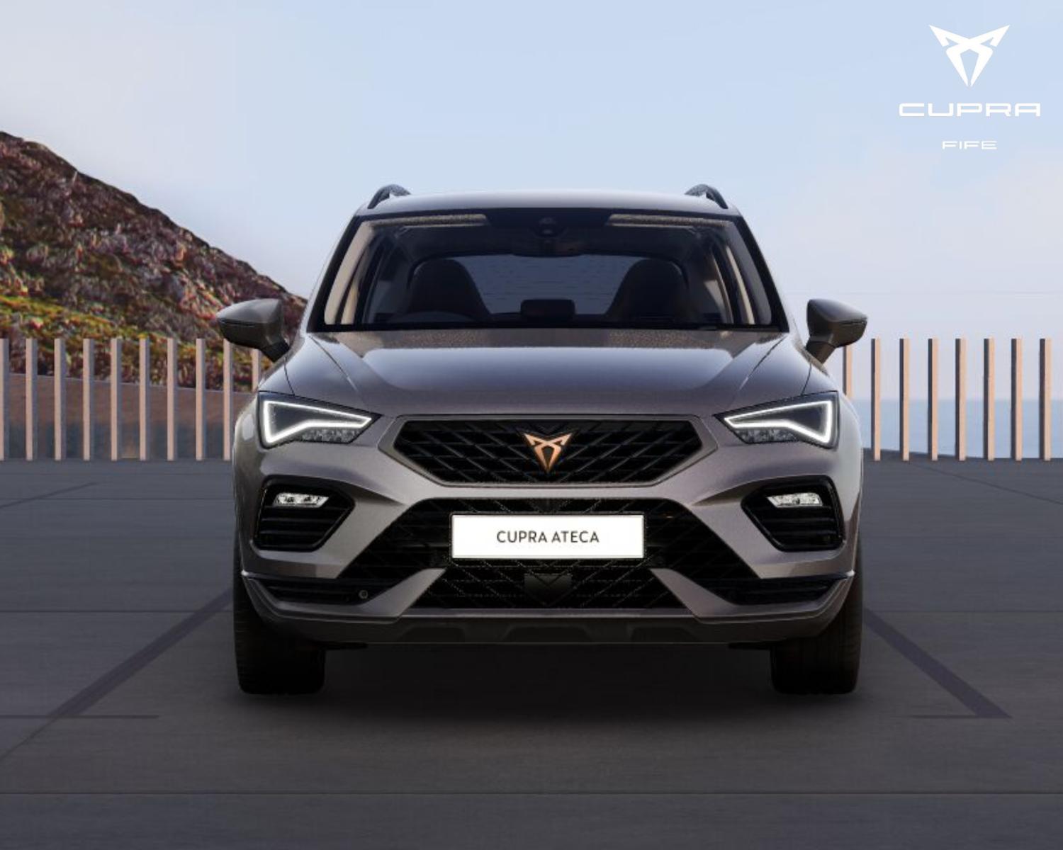 Used Cupra Other for sale - 78226062: Photo 2