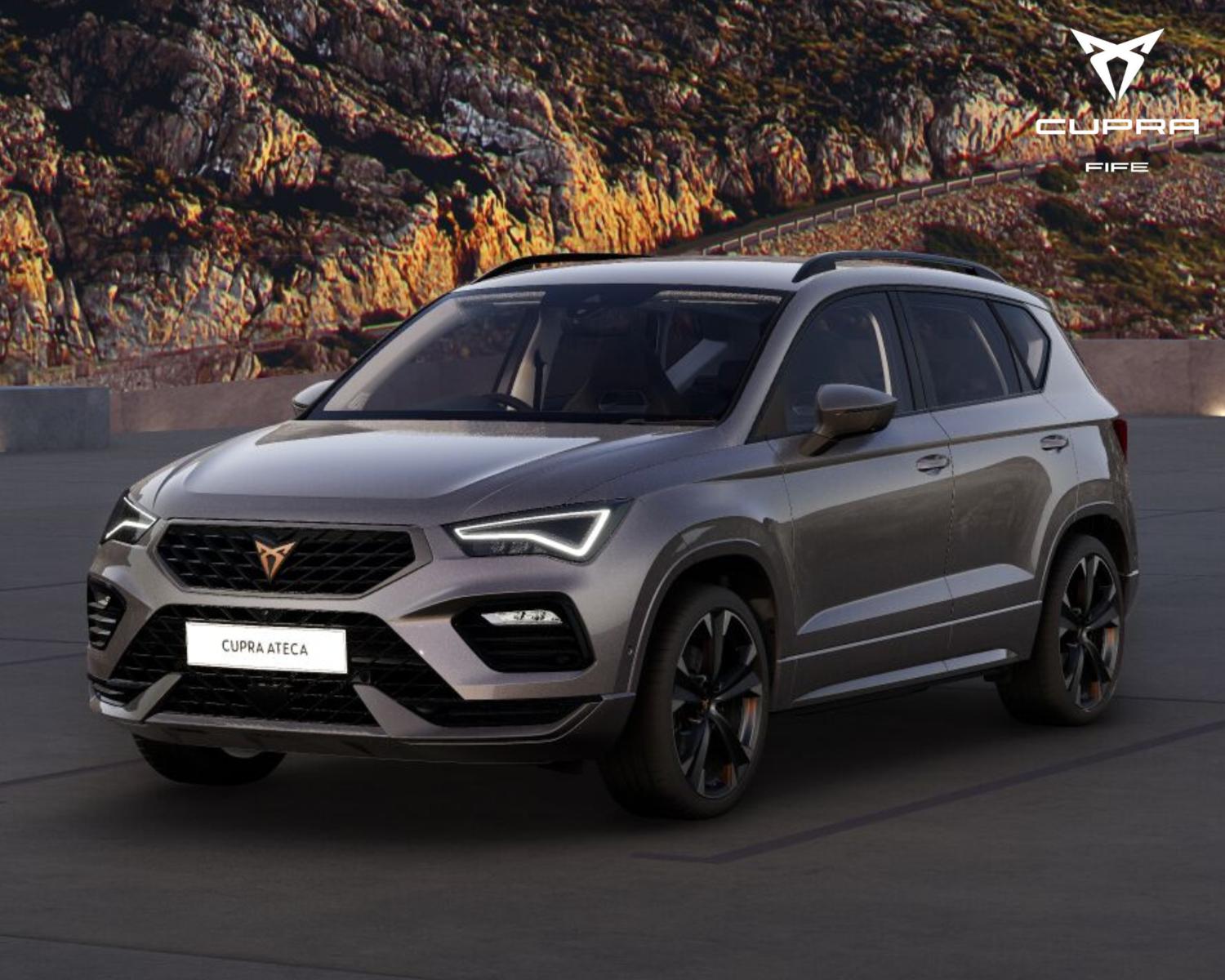 Used Cupra Other for sale - 78226062: Photo 3