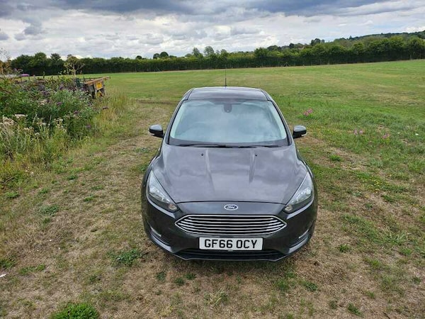 Used Ford Focus 2016 for sale - 75606829: Photo 16