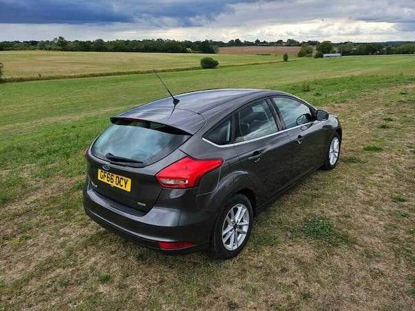 Used Ford Focus 2016 for sale - 75606829: Photo 19