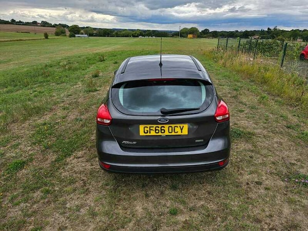 Used Ford Focus 2016 for sale - 75606829: Photo 20