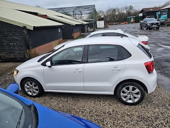 Used Volkswagen Polo 2013 for sale - 77558391: Photo