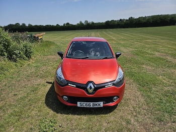 Used Renault Clio 2016 for sale - 79010144: Photo