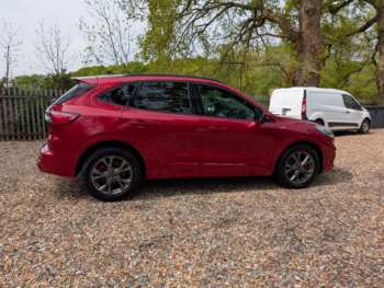 Used Ford Kuga 2022 for sale - 73436628: Photo