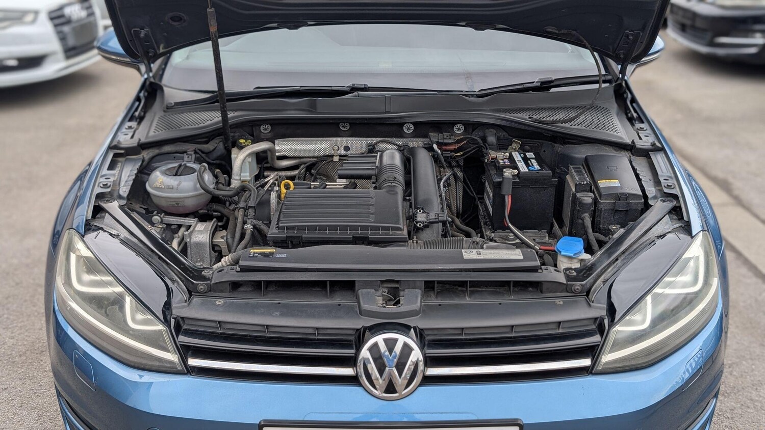 Used Volkswagen Golf for sale - 77909173: Photo 49