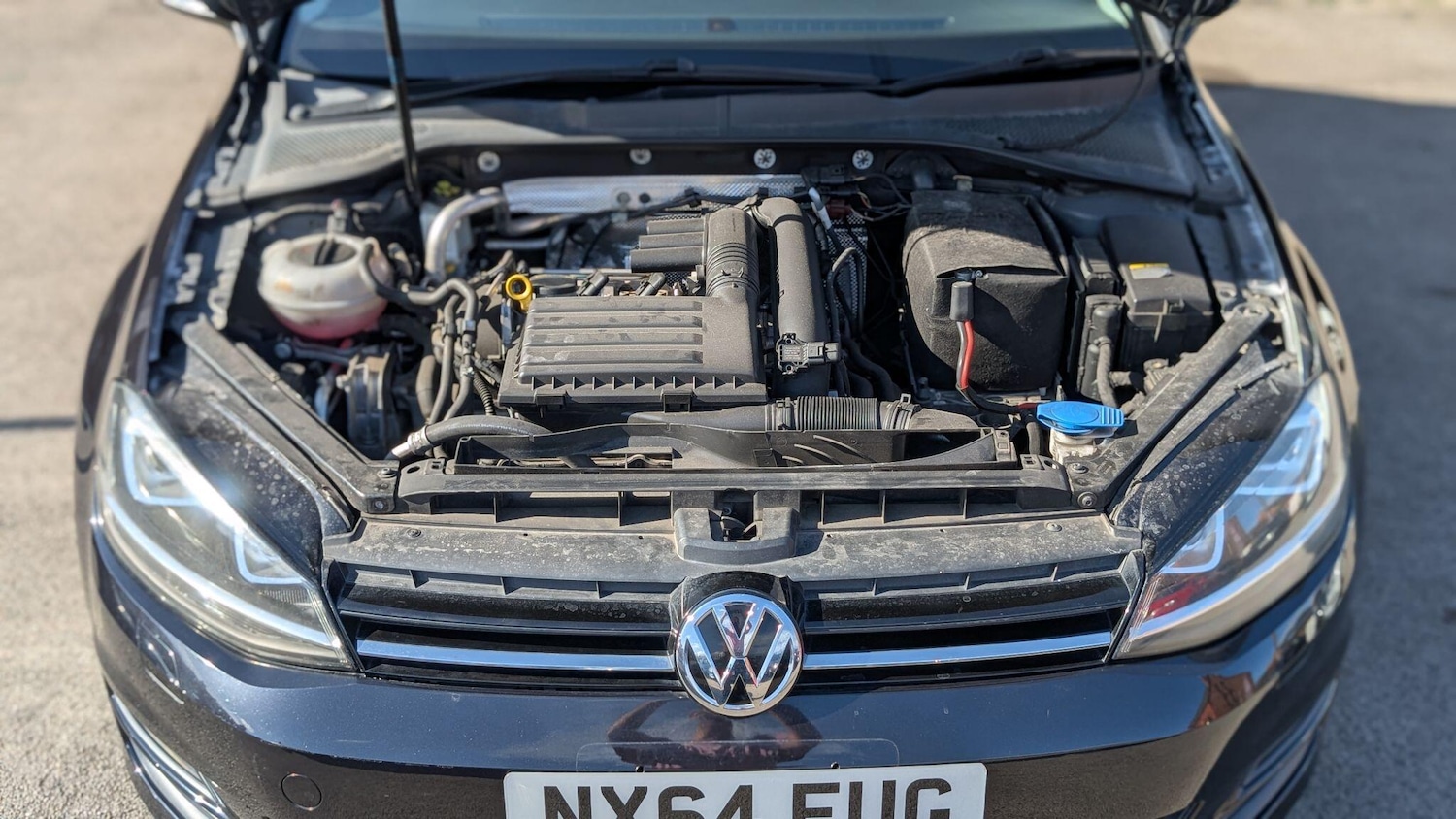 Used Volkswagen Golf 2025 for sale - 76772107: Photo 49