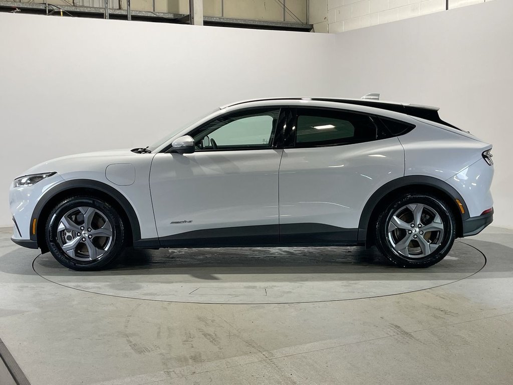 Used Ford Mustang Mach-E 2022 for sale - 77133298: Photo 5