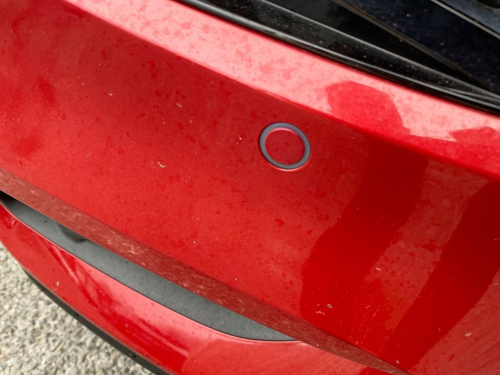 Used Kia Sportage 2022 for sale - 77764586: Photo 2