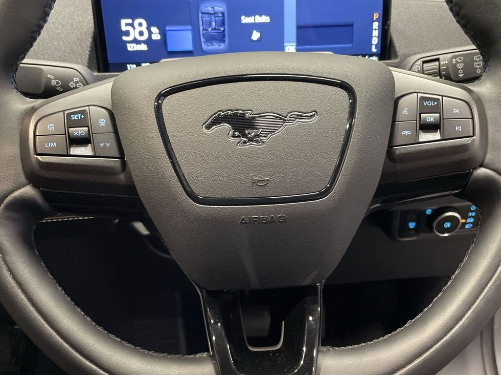 Used Ford Mustang Mach-E 2023 for sale - 77764764: Photo 21