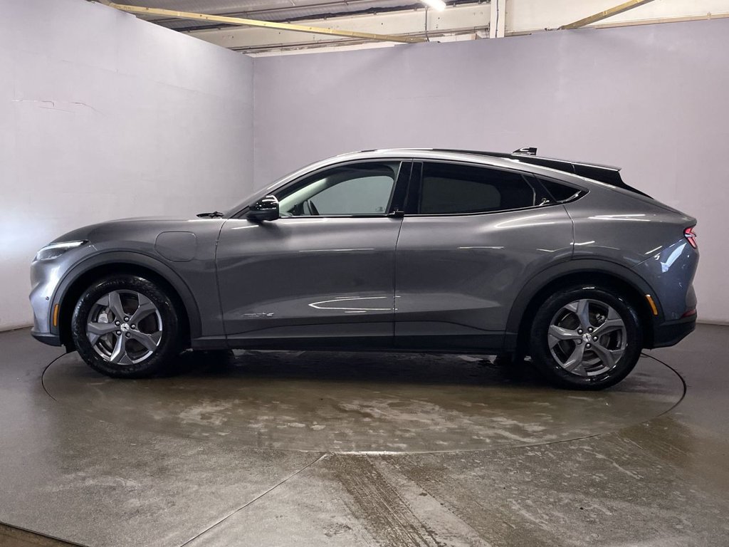 Used Ford Mustang Mach-E 2023 for sale - 77764764: Photo 5