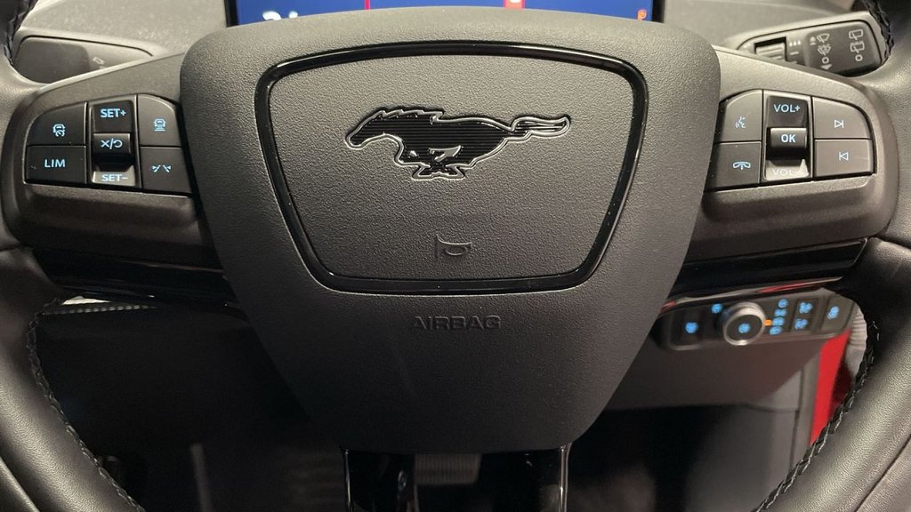Used Ford Mustang Mach-E 2022 for sale - 77764905: Photo 21