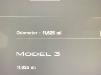 Used Tesla Model 3 2024 for sale - 77110683: Photo