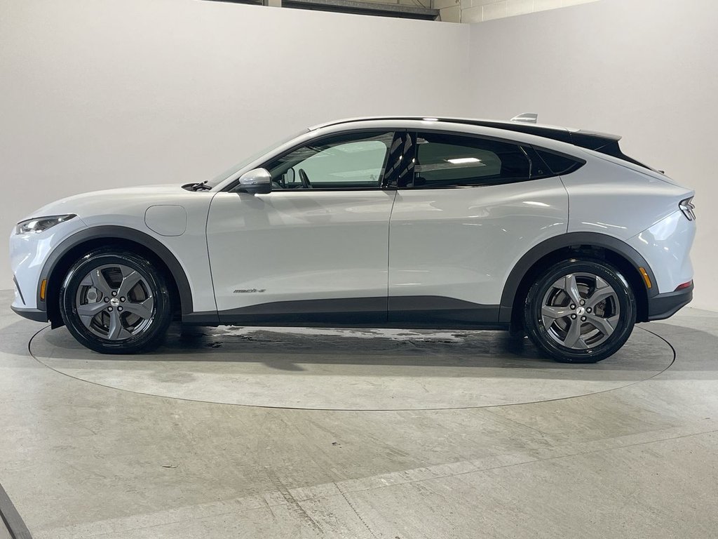 Used Ford Mustang Mach-E 2022 for sale - 76038798: Photo 5